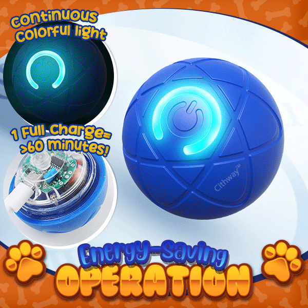 Cithway™ Fun Self-Moving Interactive Pet Ball Toy