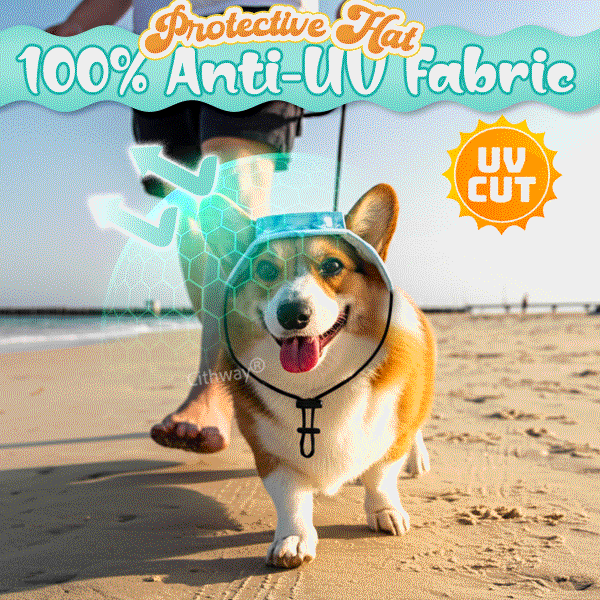 Cithway® Summer Fashion Pet Visor Sun Hat