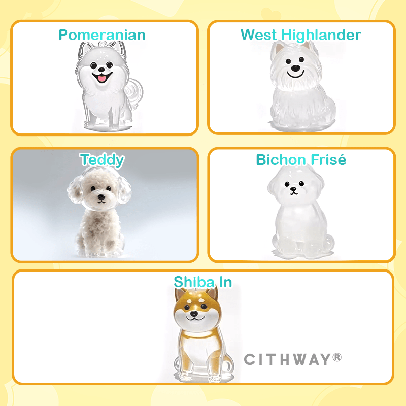 Cithway® DIY Pet Fur Keepsake Keychain