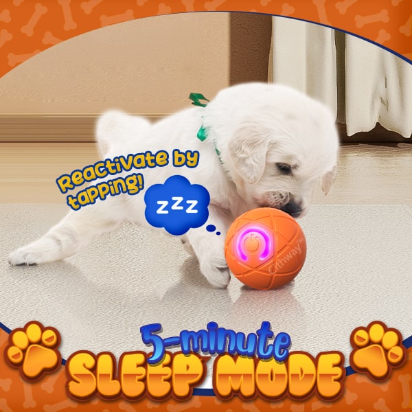 Cithway™ Fun Self-Moving Interactive Pet Ball Toy