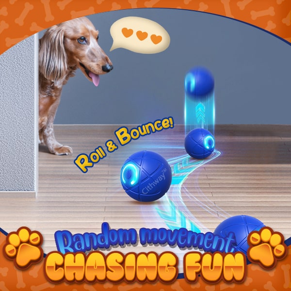 Cithway™ Fun Self-Moving Interactive Pet Ball Toy