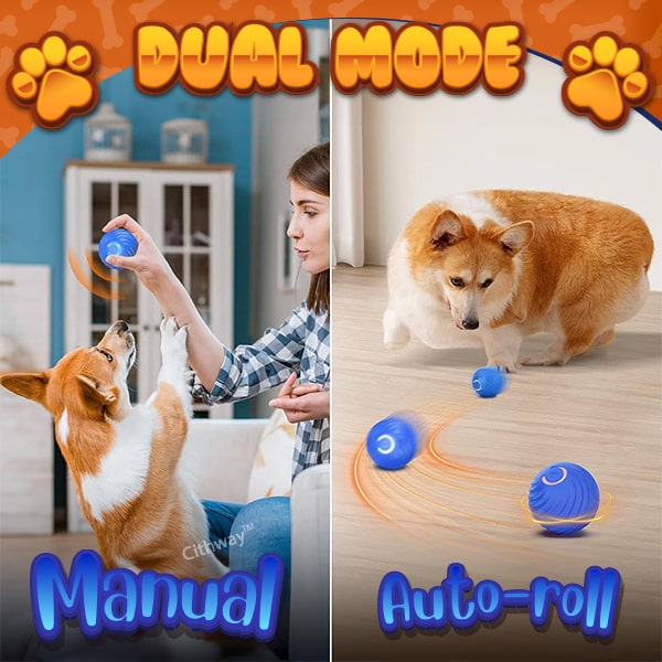Cithway™ Fun Self-Moving Interactive Pet Ball Toy