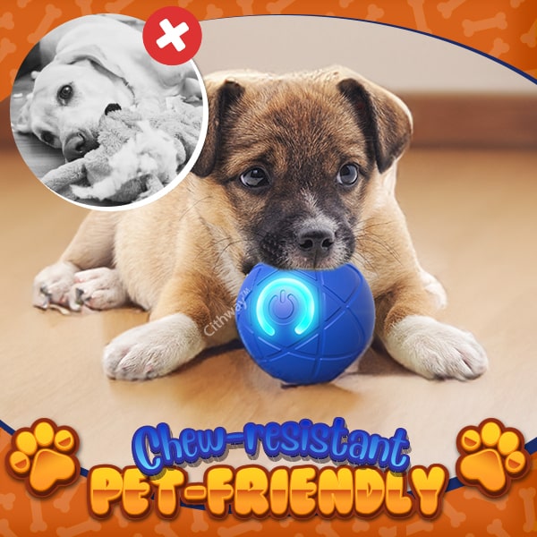 Cithway™ Fun Self-Moving Interactive Pet Ball Toy