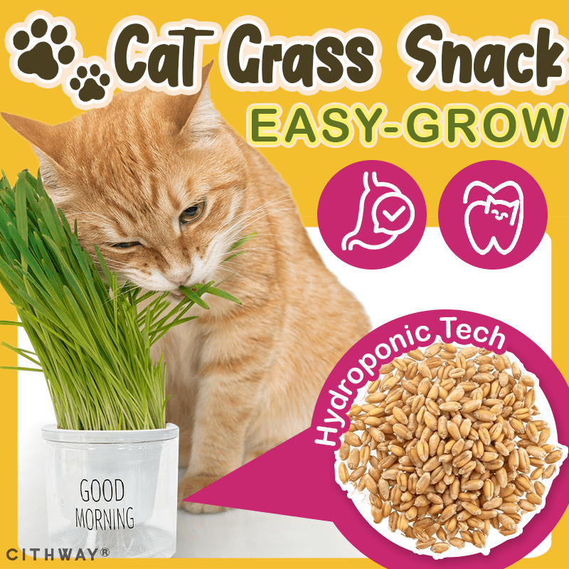 Cithway® Easy-Grow Cat Grass Snack