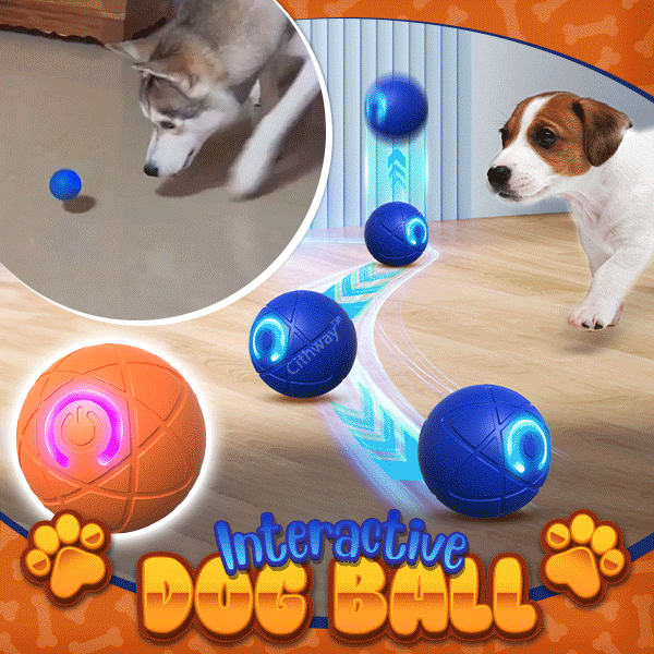 Cithway™ Fun Self-Moving Interactive Pet Ball Toy