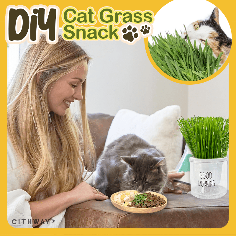 Cithway® Easy-Grow Cat Grass Snack