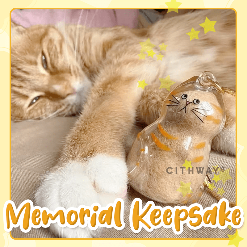 Cithway® DIY Pet Fur Keepsake Keychain