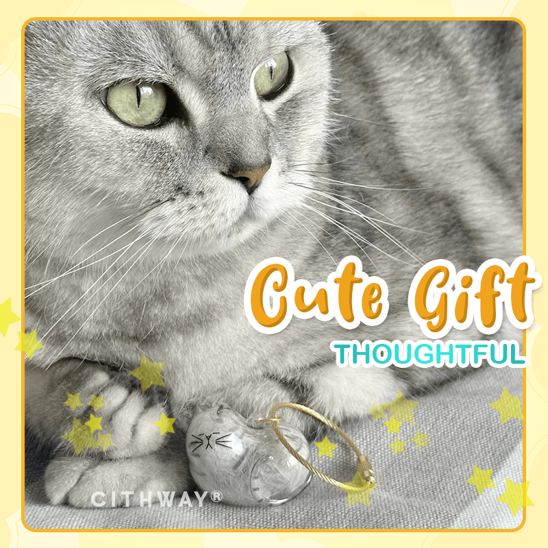 Cithway® DIY Pet Fur Keepsake Keychain
