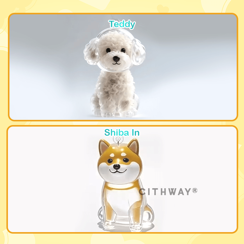 Cithway® DIY Pet Fur Keepsake Keychain